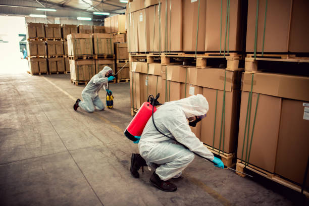 Best Mosquito Control Services  in Bigfoot, TX