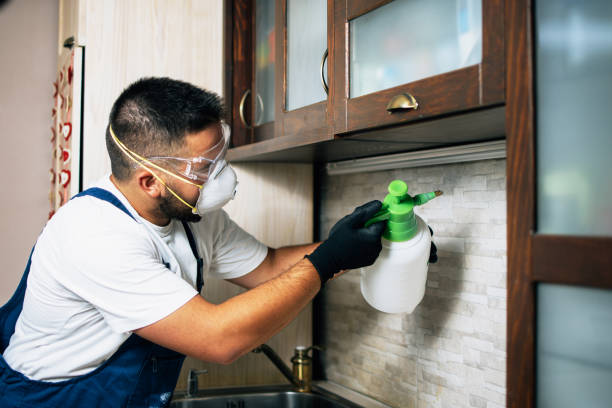 Best Pest Removal Services  in Bigfoot, TX