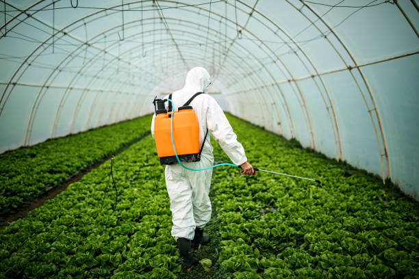 Best Ant Control Services  in Bigfoot, TX