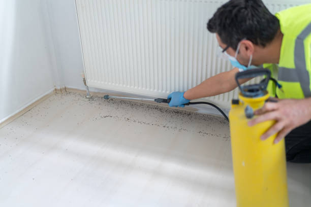 Best Bed Bug Extermination  in Bigfoot, TX