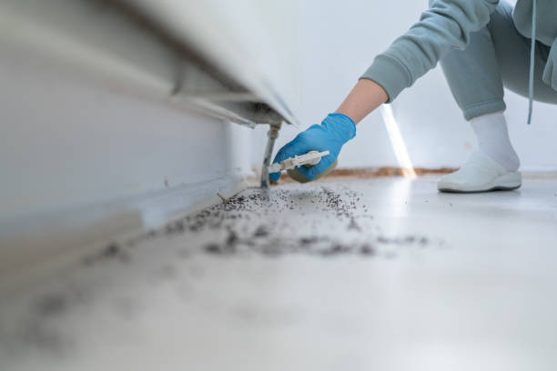 Best Pest Control Near Me in Bigfoot, TX
